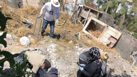 Activists and volunteers find four bodies in Tijuana clandestine grave site